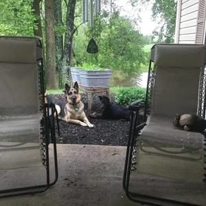 Meet your Posher, Frank